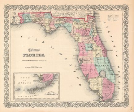 1859 Johnson edition of Colton Map of Florida (First Edition Johnson Map)