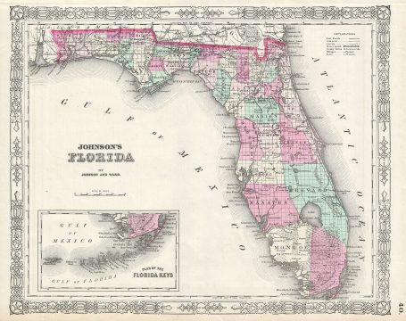 1863 Johnson Map of Florida