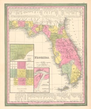 1846 Mitchell / Tanner 1st Edition Map of Florida w/ Leigh Read County!