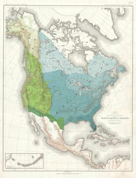 1884 Sargent Forestry Map of North American Forests