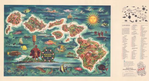 1950 Joseph Feher Dole Map of Hawaii
