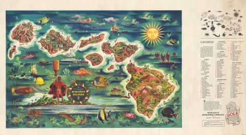 1950 Joseph Feher Dole Map of Hawaii