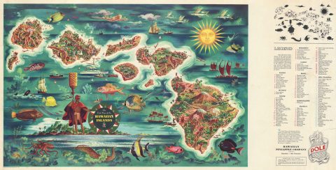 1950 Joseph Feher Dole Map of Hawaii