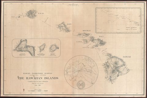 1919 H. E. Newton Wall Map of the Hawaiian Islands (Hawaii Territory)