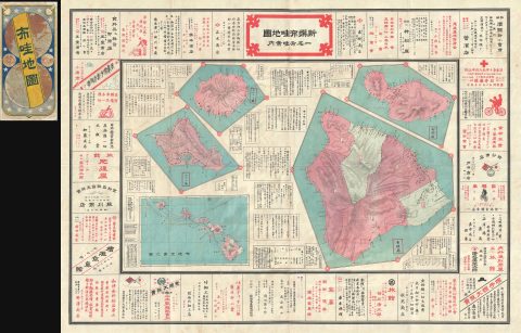 1906 Takei Nekketsu Japanese Map of Hawaii w/shopping