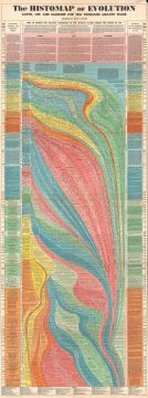 1942 John Sparks Infographic Chart or Histomap of Evolution