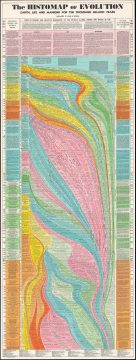 1949 John Sparks Infographic Chart or Histomap of Evolution