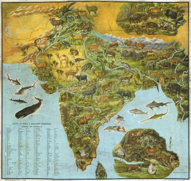 1947 Dass Map of India Illustrating Animals
