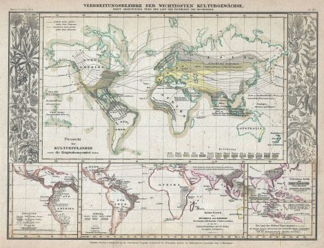 1852 Meyer Map of the World showing the Distribution of Plants