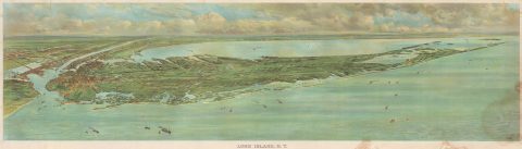 1902 F. W. Falls Chromolithograph View of Long Island, New York