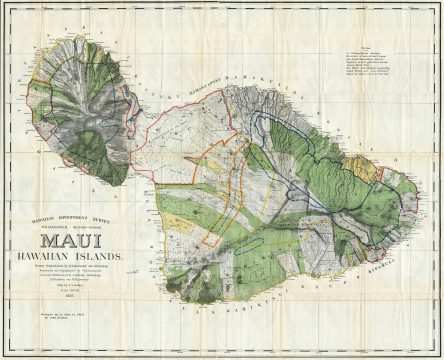 1885 De Witt Alexander Wall Map of Maui, Hawaii