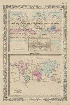 1863 Johnson Map of the World showing Meteorology, Rainfall and Plants