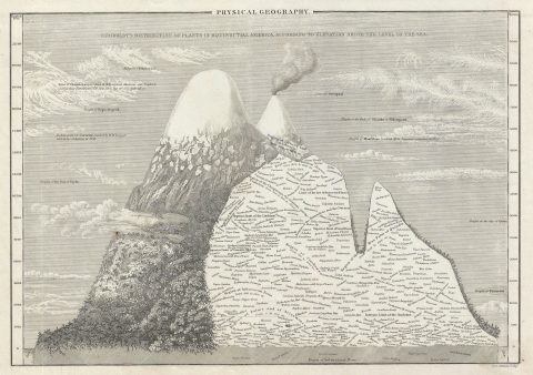 1840 Black and Hall Map of the Mountains & Plants of America
