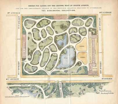 1867 Vaux and Olmsted Map or Plan of the Natural History Museum Grounds, New York City