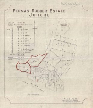 1909 Survey Map of the Permas Rubber Estate (Bandar Baru Permas Jaya), Jahor