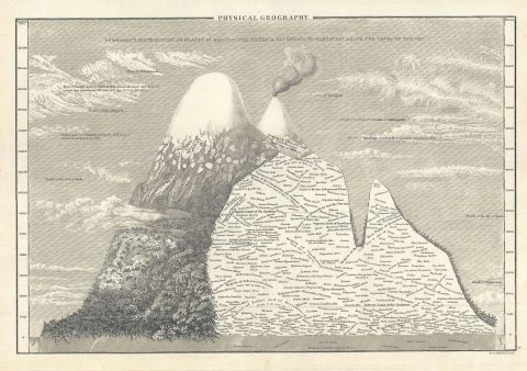 1844 Black Map or Chart of the Mountains and Plants of America