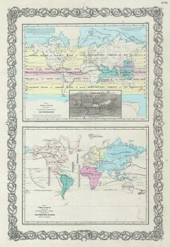 1856 Colton Map of World Plants and Meteorology