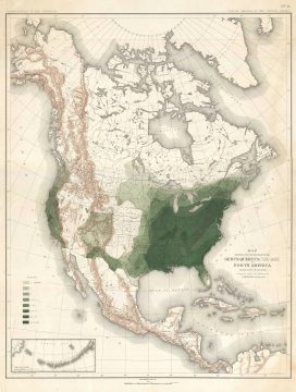 1884 Sargent Arboreal Map of North America Depicting Oak Trees