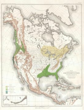 1884 Sargent Arboreal Map of North America Depicting California Redwood Trees