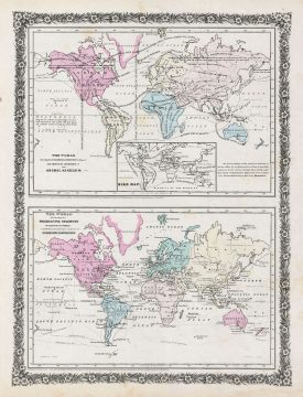 1858 Colton Map of the World Showing the Geographical Distribution of the Animal Kingdom and Illustr