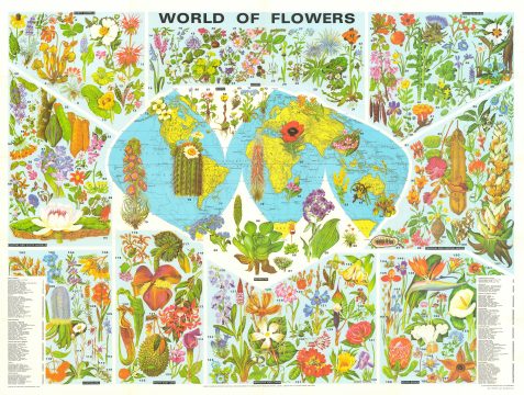 1972 Bartholomew Pictorial Map of the World and its Flowers