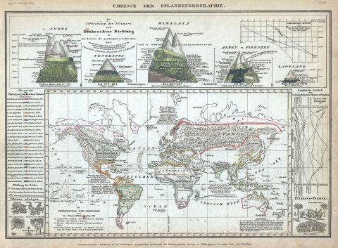 1852 Meyer Map Showing the Distribution of Vegetation over the World