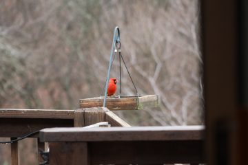 IMG_0120.JPG