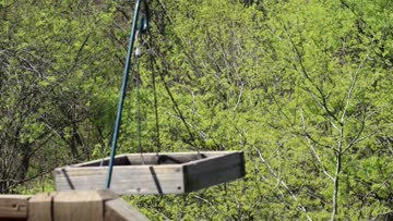MVI_0238.MP4