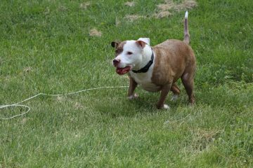 IMG_0297.jpeg
