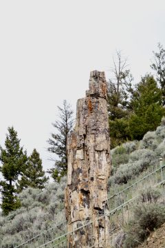 IMG_0679.jpeg