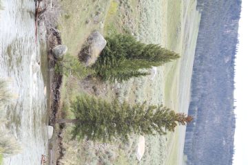 IMG_0699.jpeg