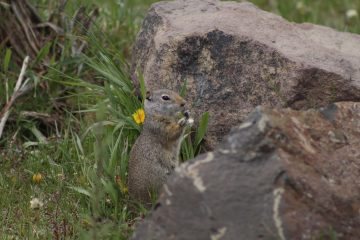 IMG_0707.jpeg