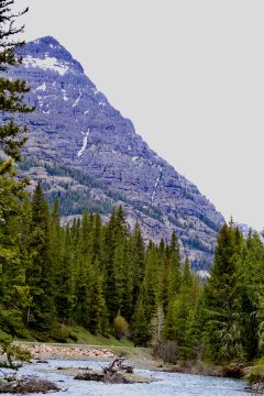 IMG_0716.jpeg