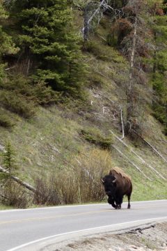 IMG_0719.jpeg