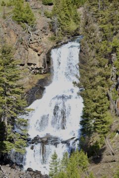 IMG_0725.jpeg