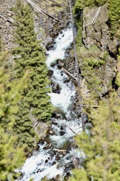 IMG_0726.jpeg