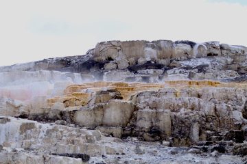 IMG_0730.jpeg