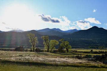 IMG_0758.jpeg