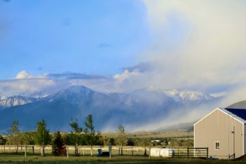 IMG_0776.jpeg