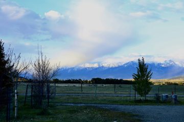 IMG_0785.jpeg