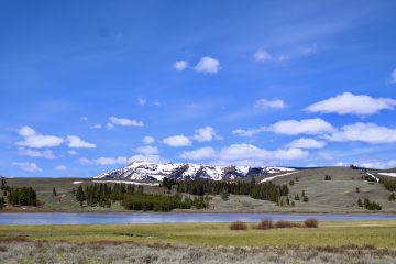IMG_0790.jpeg