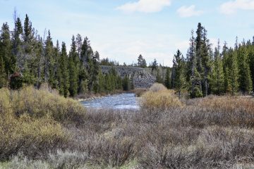 IMG_0795.jpeg