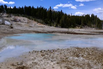IMG_0837.jpeg
