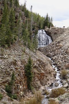 IMG_0869.jpeg