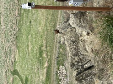 IMG_1198.jpeg