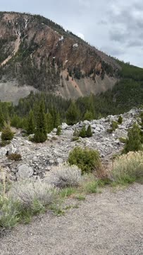 IMG_1442.mov